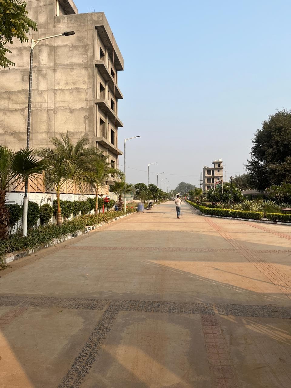 Sohna Greens - Palm-Lined Boulevard